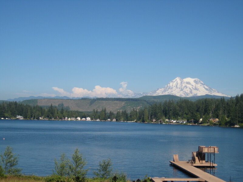 Mount Rainier View