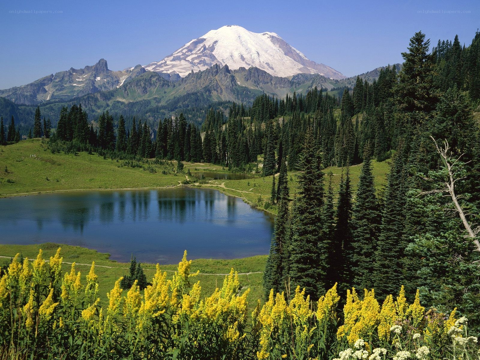 Mount Rainier with alpine lake