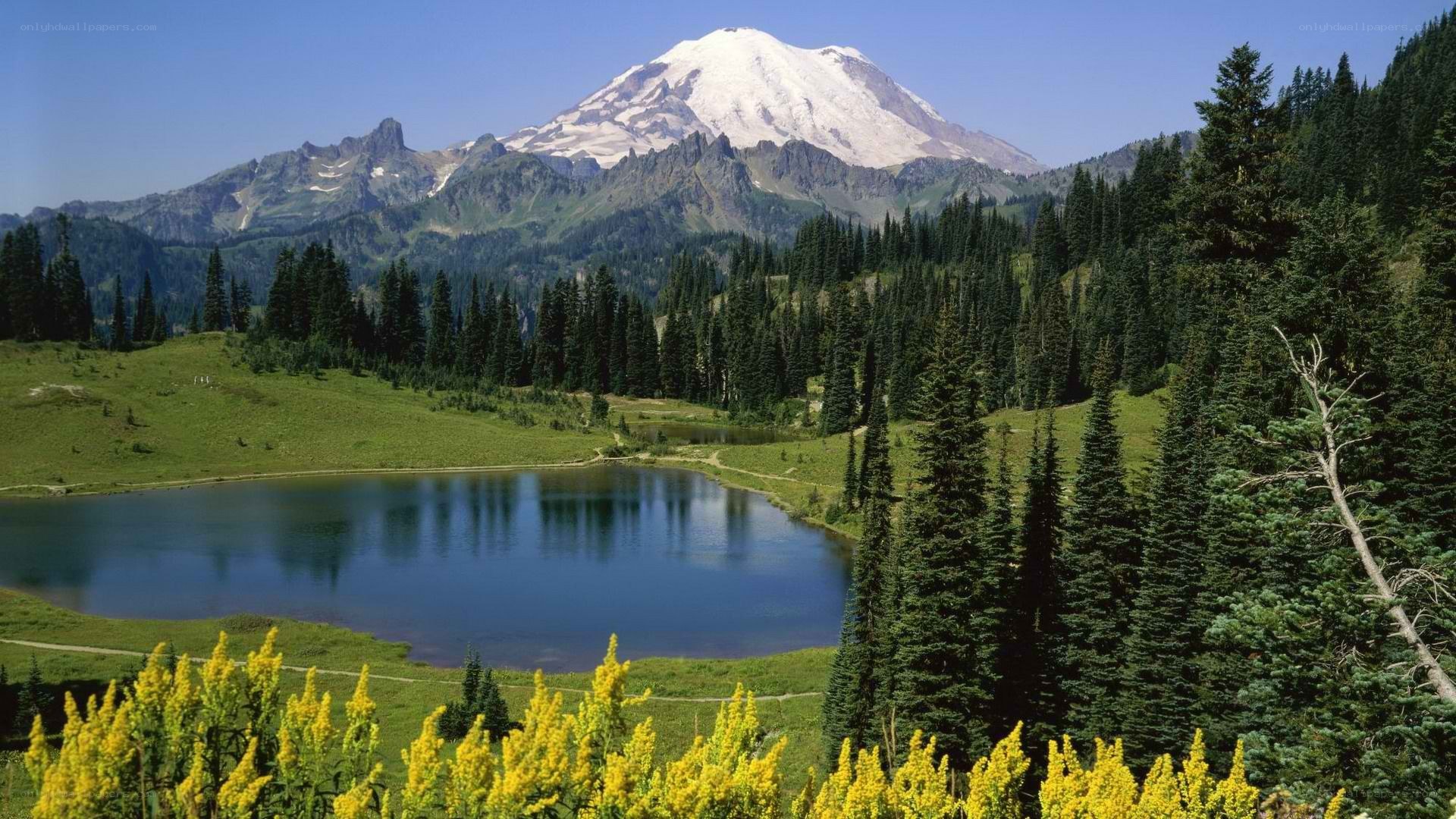 Mount Rainier with alpine lake
