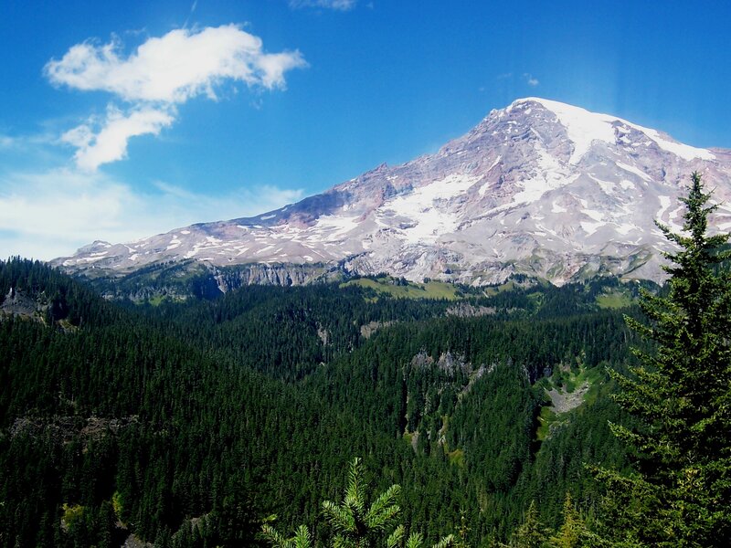 Mount Rainier with forest