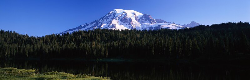 Mount Rainier with forest and lake