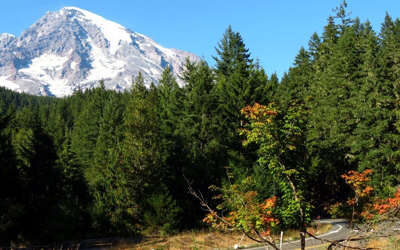 Mount Rainier with forest