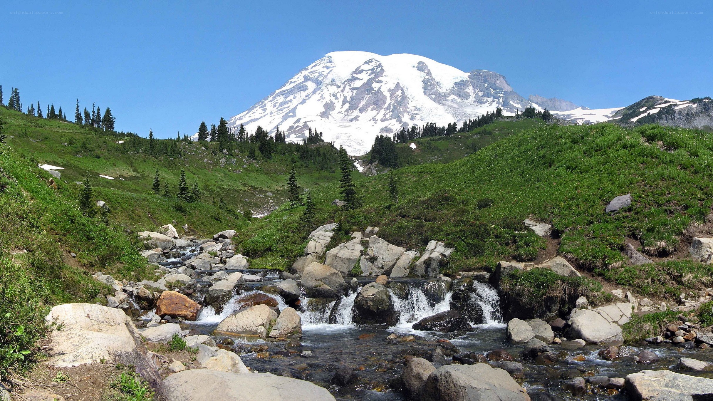 Mount Rainier with stream
