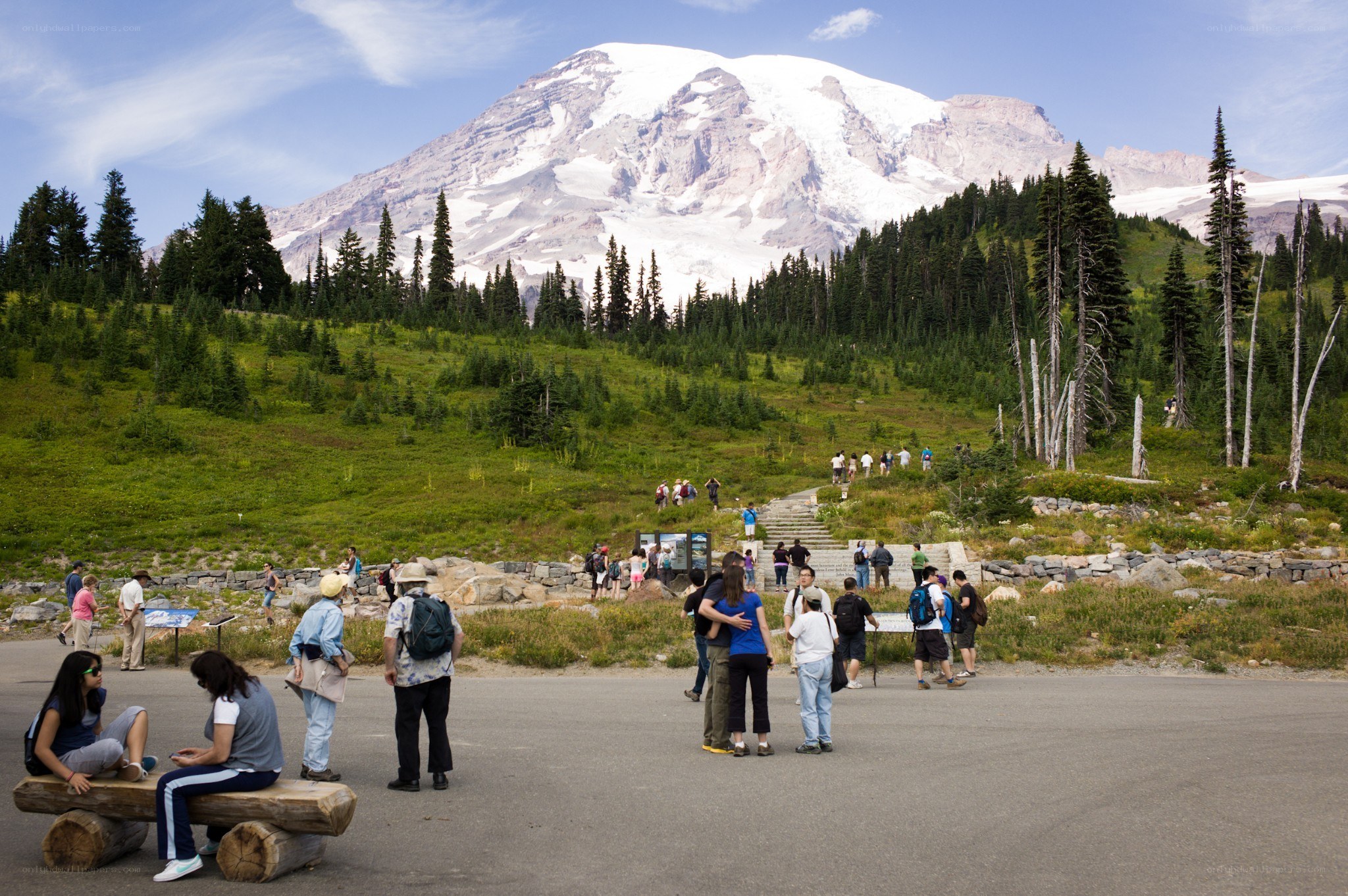 Mount Rainier with visitors