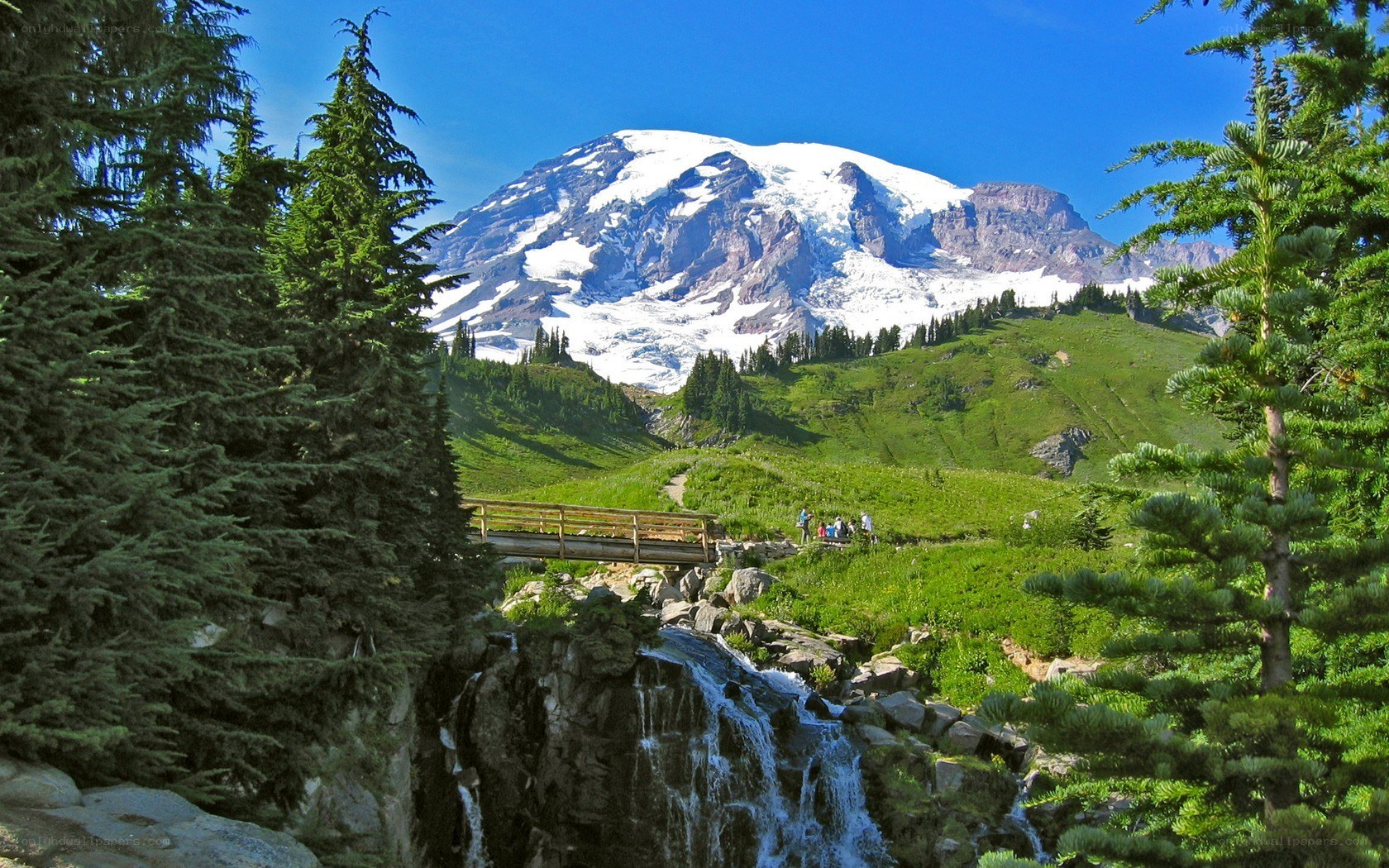 Mount Rainier with waterfall