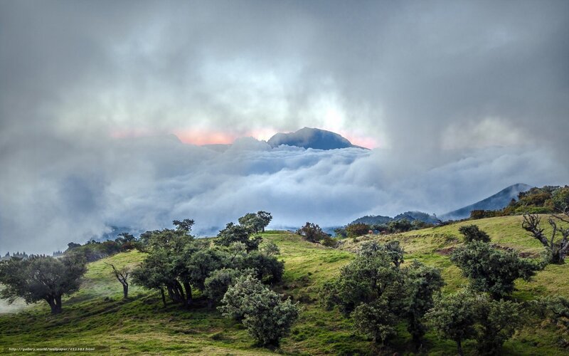 Mountain Above Clouds — Green