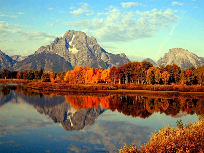 Mountain and Autumn Trees