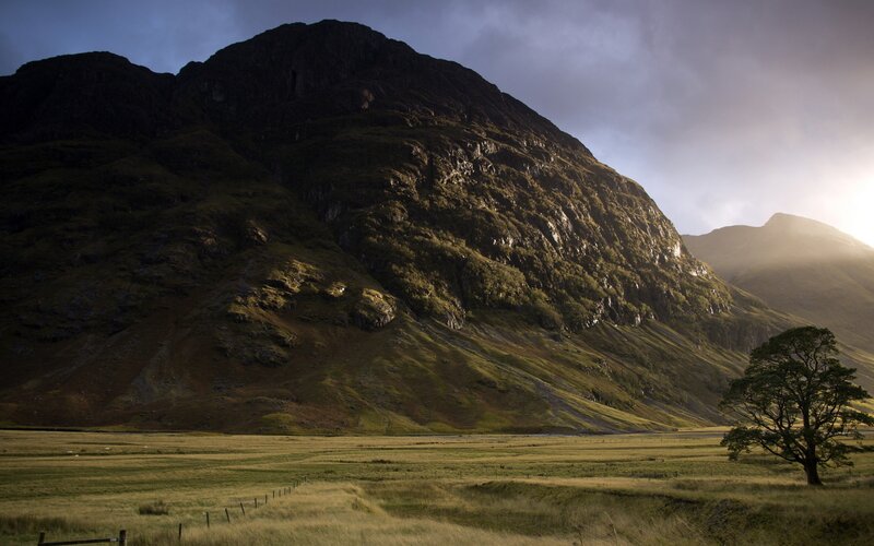 Mountain and Field Landscape