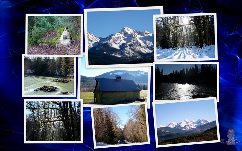 Mountain and forest collage