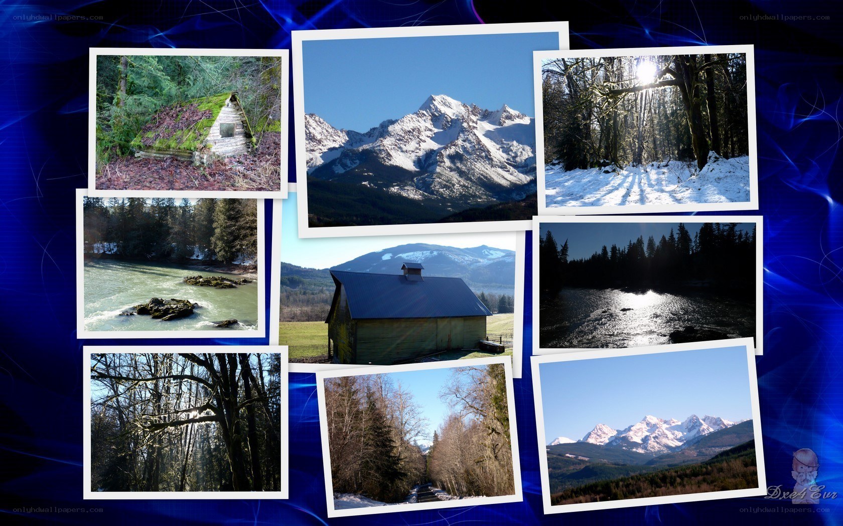 Mountain and forest collage