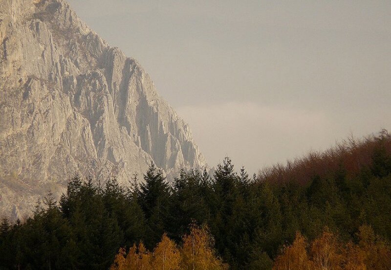 Mountain and Forest — Green
