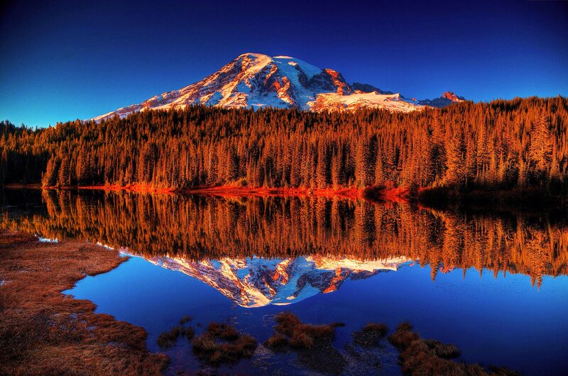 Mountain and Forest Reflection