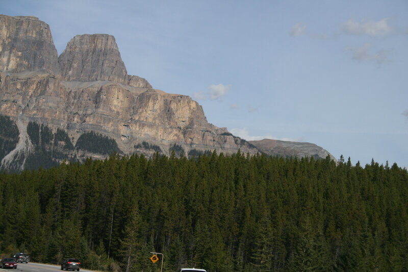 Mountain and Forest
