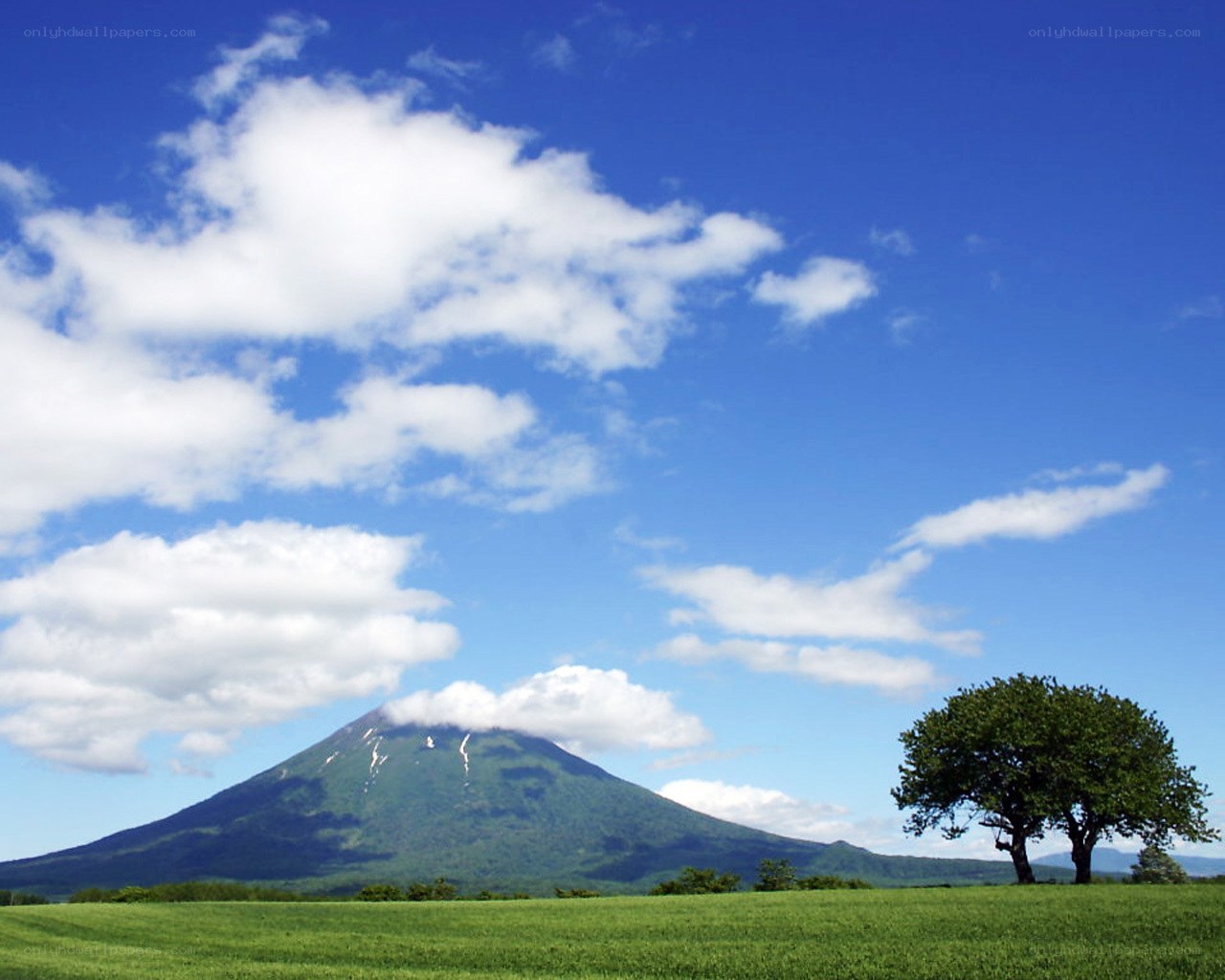 Mountain and green field landscape