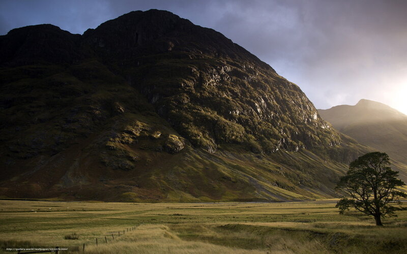 Mountain and Lone Tree