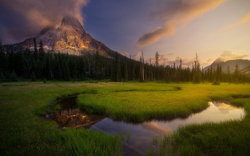 Mountain and Meadow