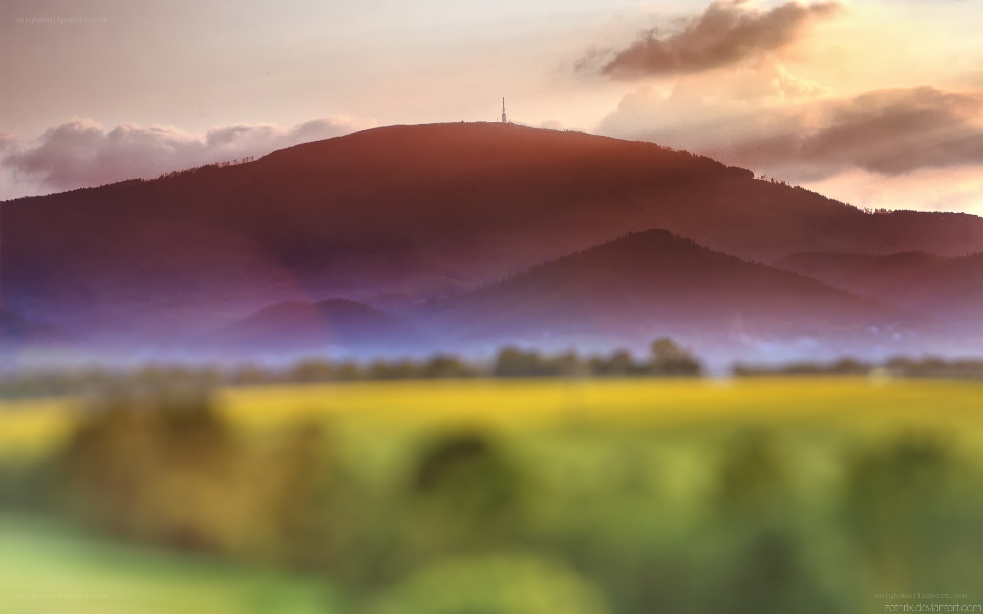 Mountain at sunset with field