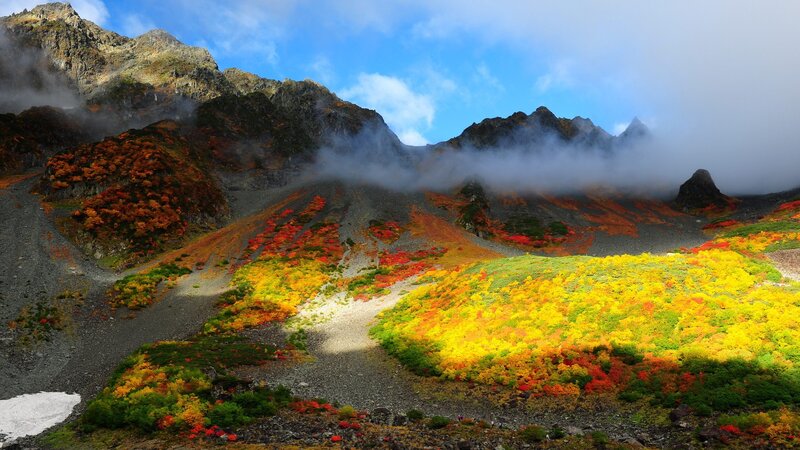 Mountain Autumn Foliage