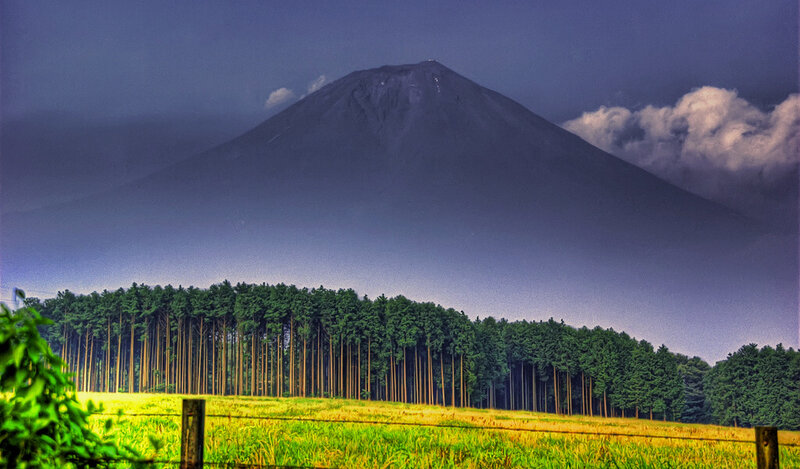 Mountain Behind Forest