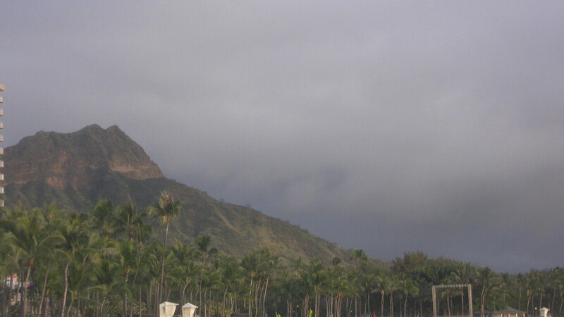 Mountain Behind Palm Trees