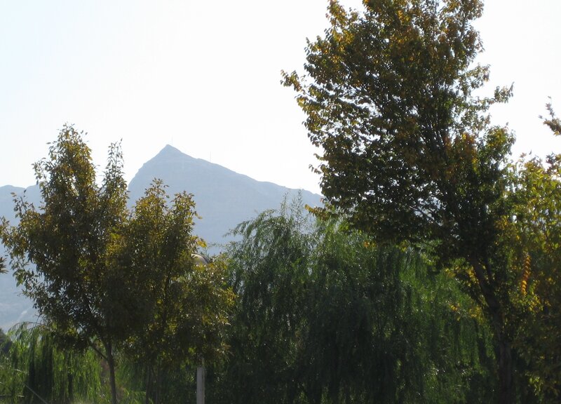 Mountain Behind Trees