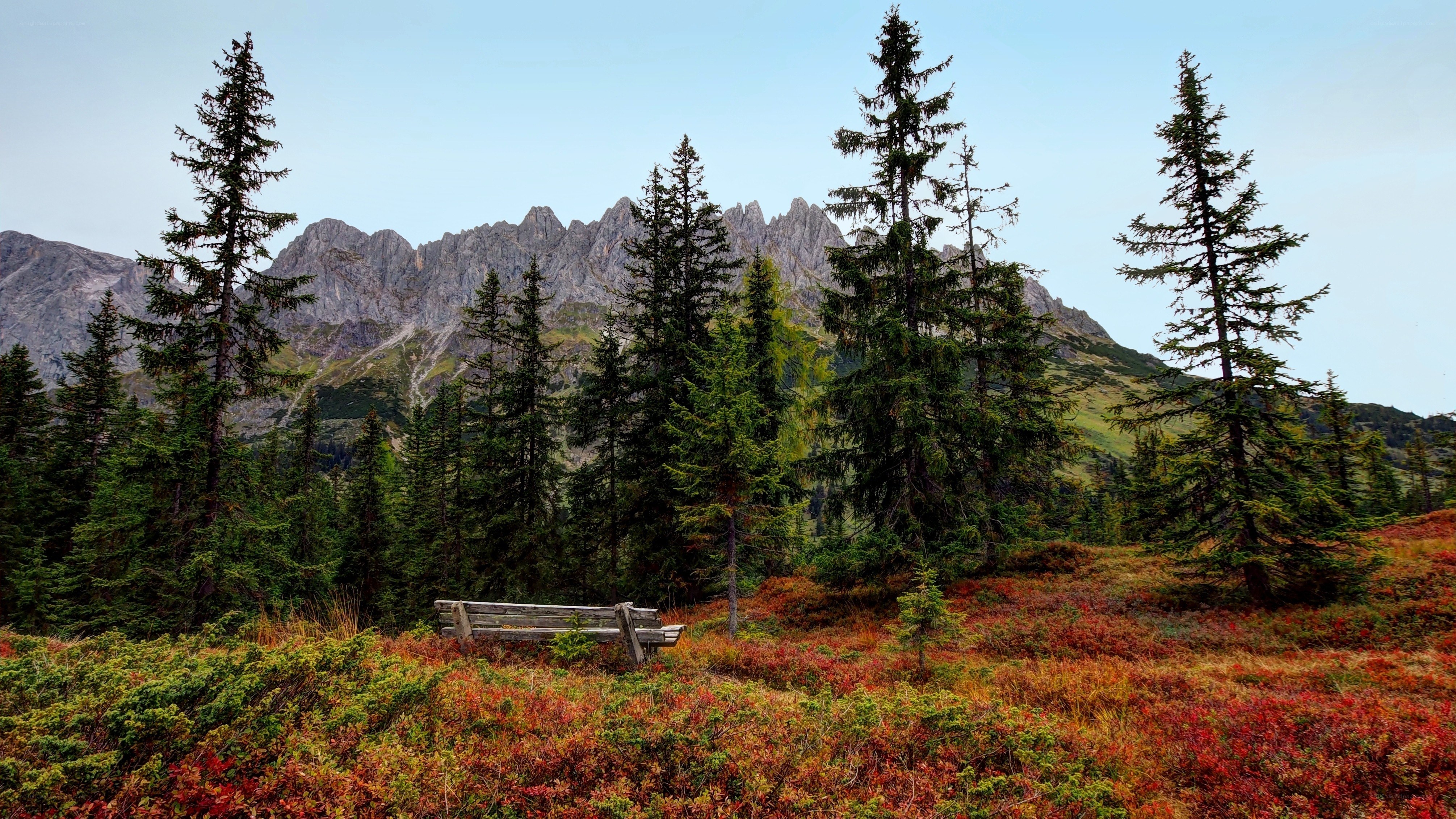 Mountain bench in autumn forest
