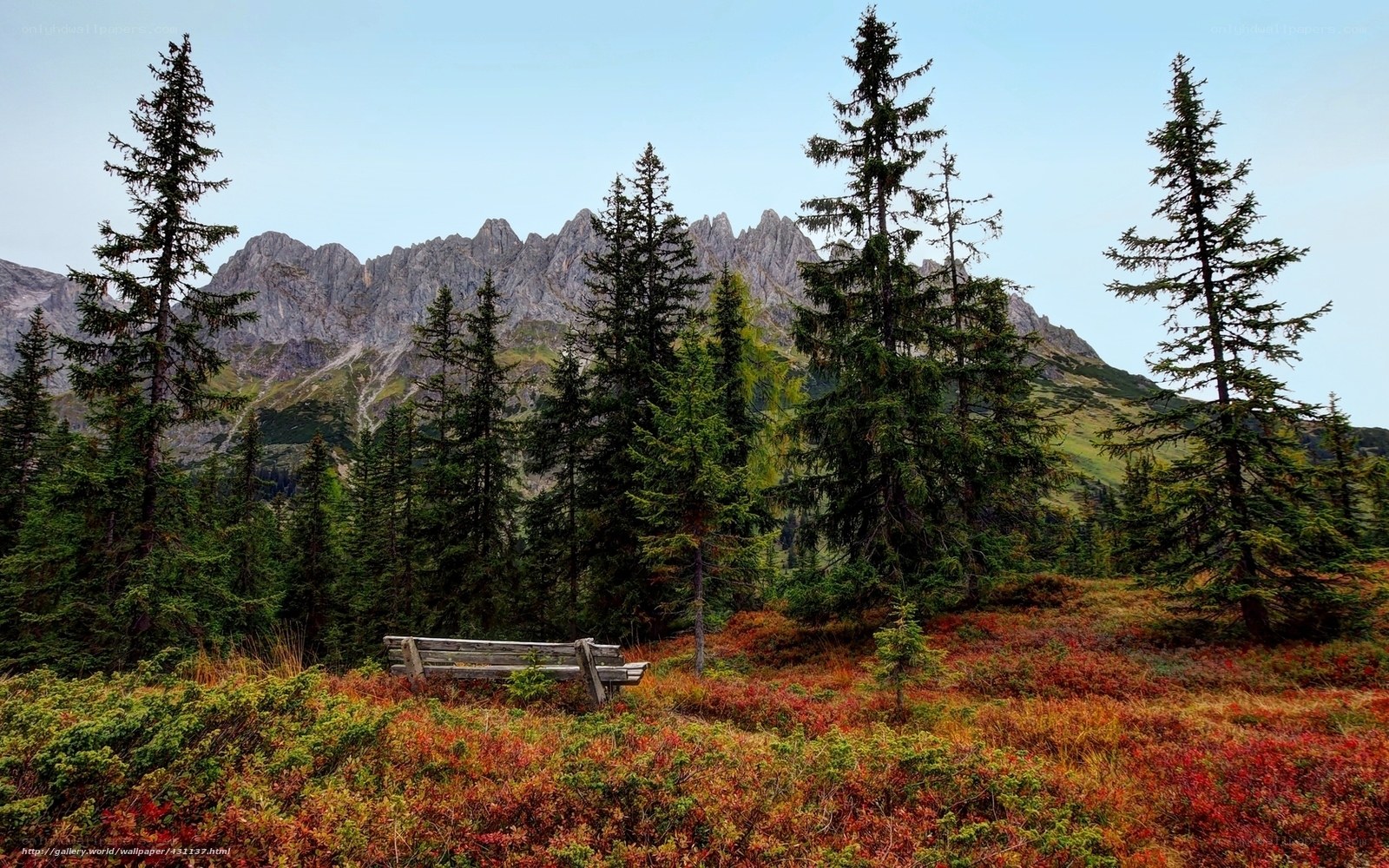 Mountain bench in autumn forest
