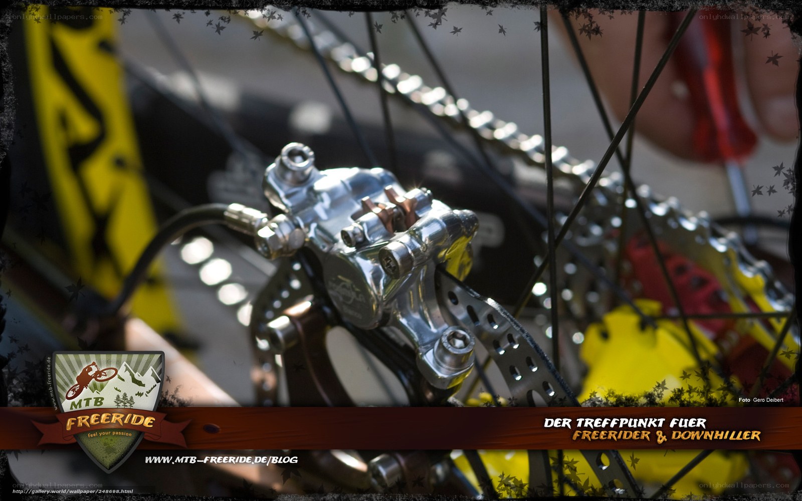 Mountain bike brake close-up