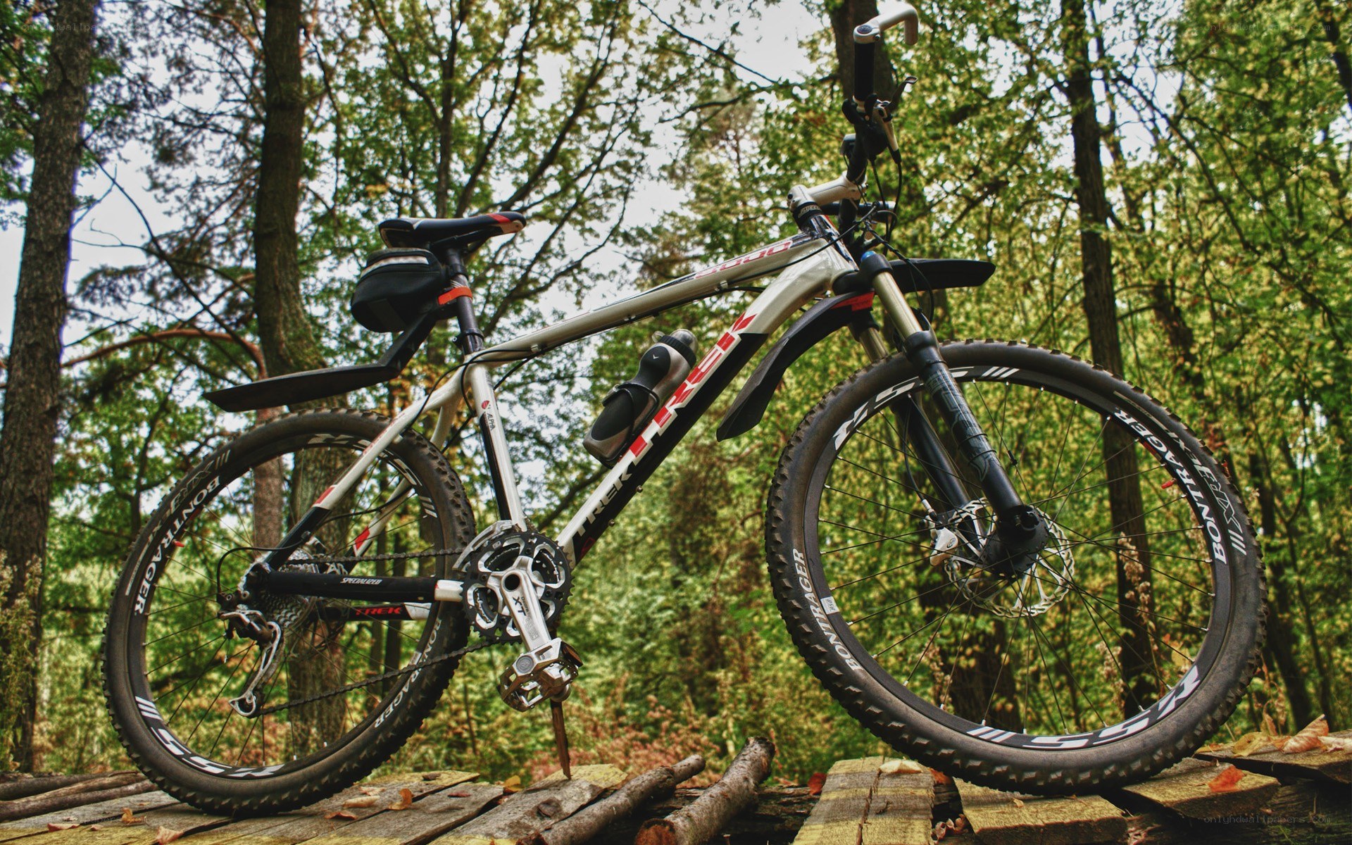 Mountain bike in forest