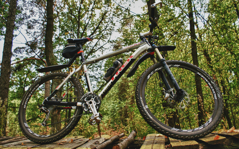 Mountain Bike in Forest — Green, Natural
