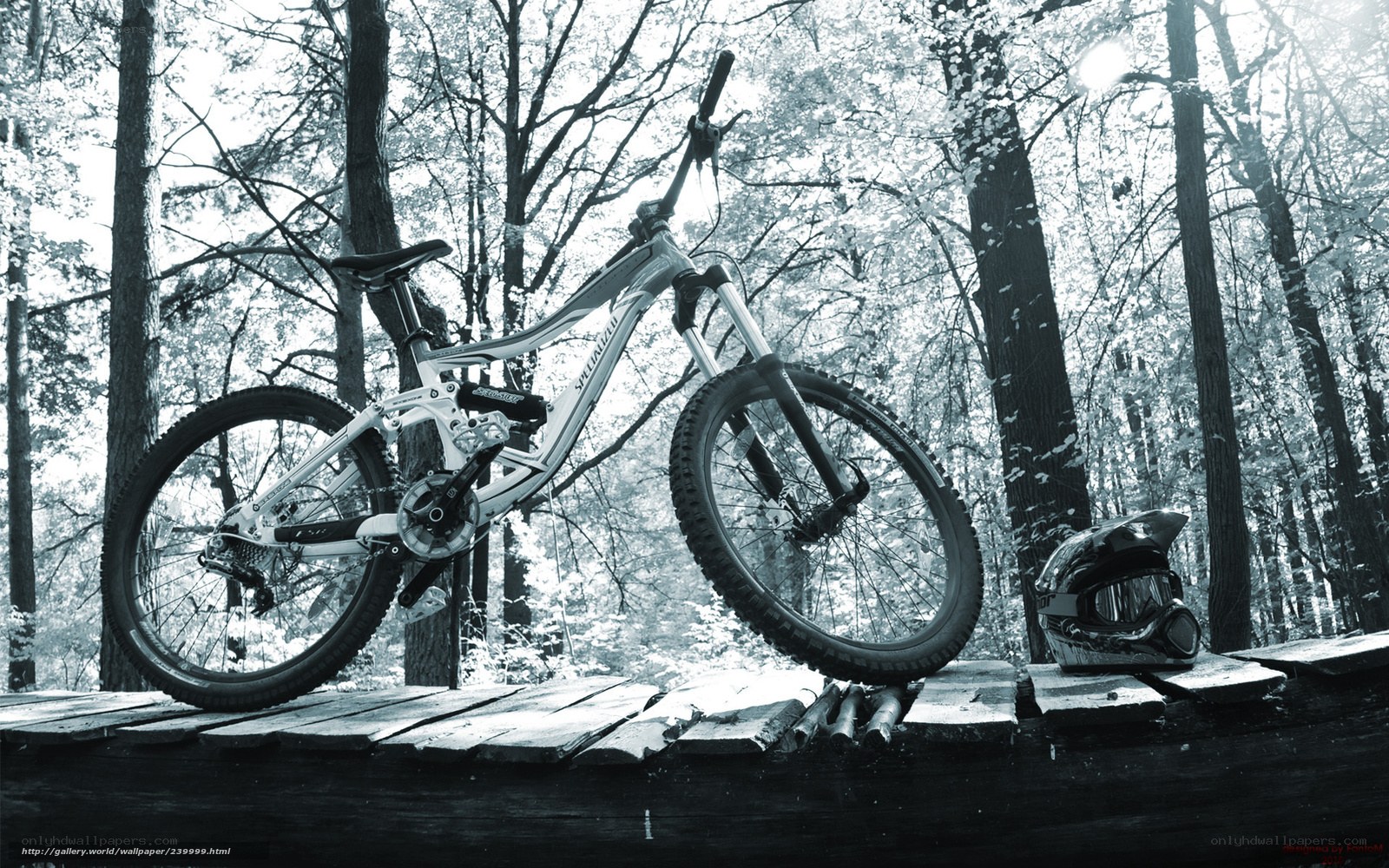 Mountain bike in forest