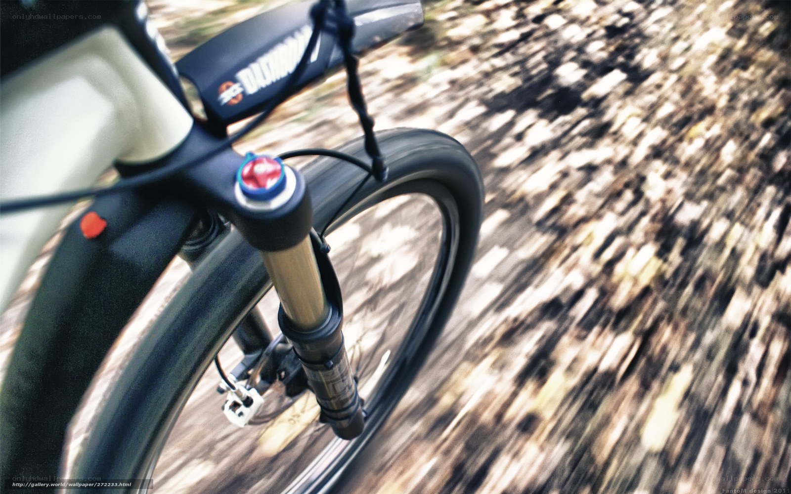 Mountain bike in motion