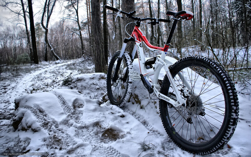 Mountain Bike in Snow