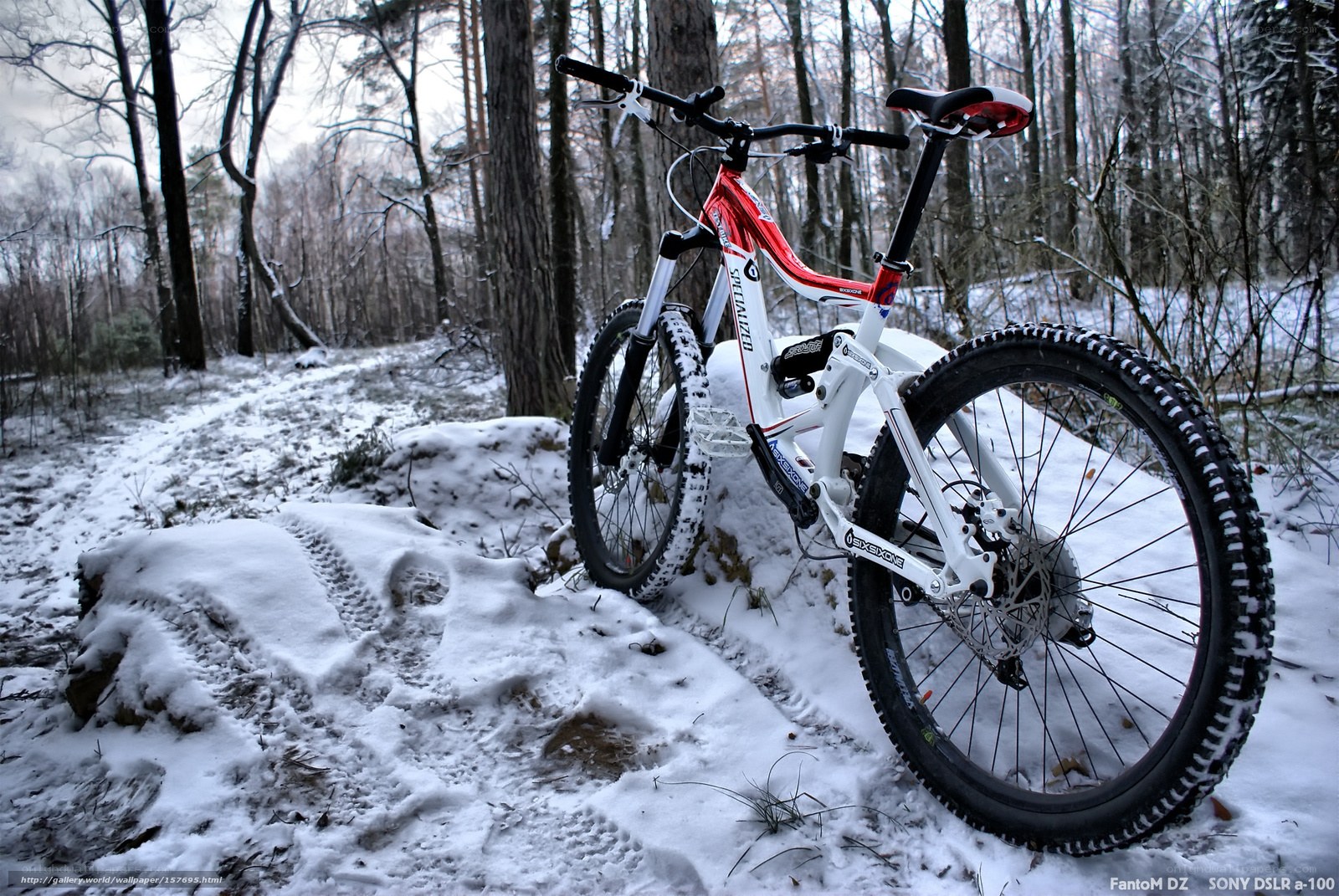 Mountain bike in snowy forest