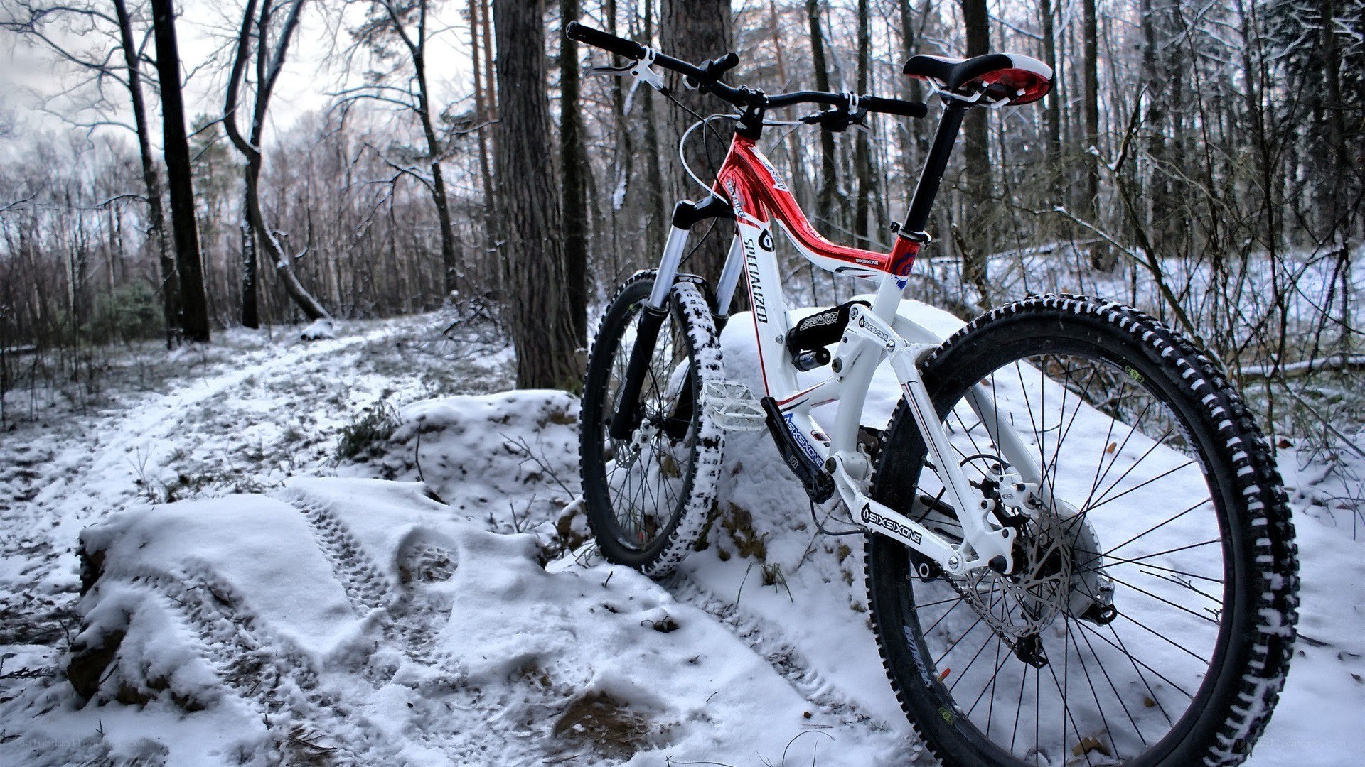 Mountain bike in snowy forest