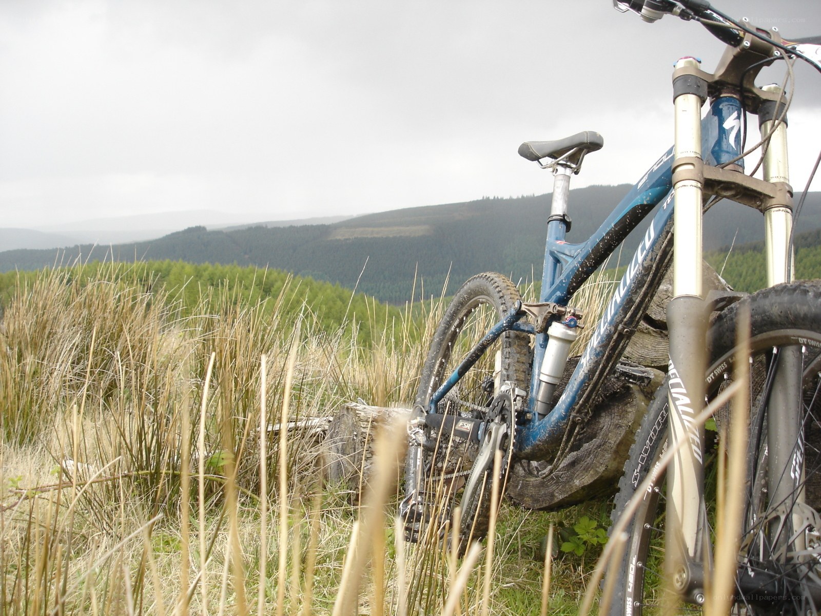 Mountain bike on a hillside