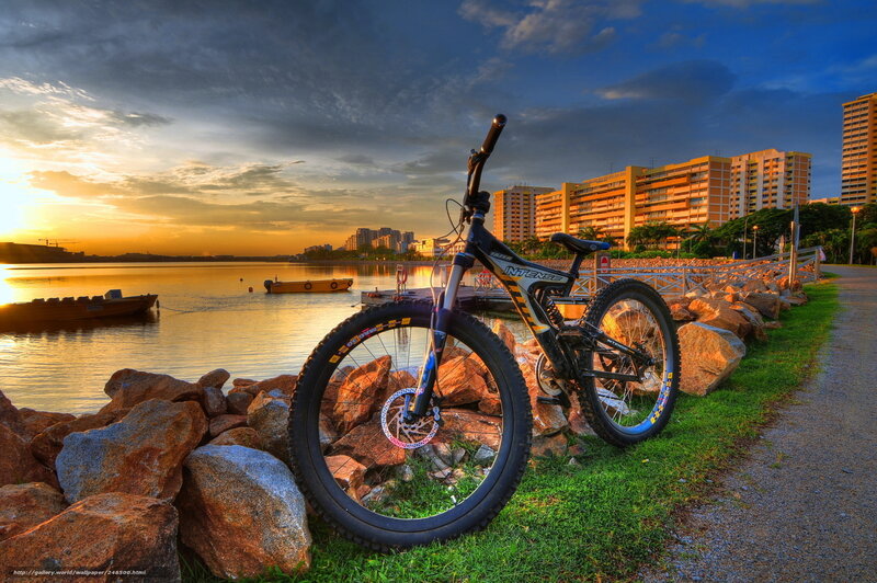 Mountain Bike on Rocks — Blue