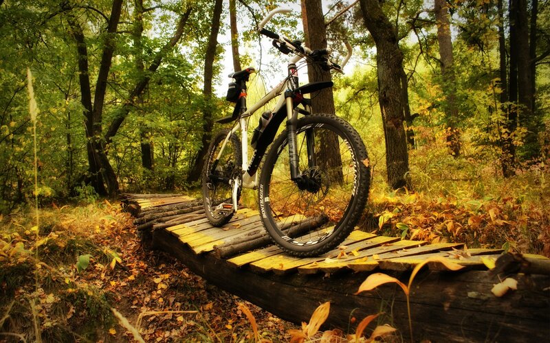 Mountain bike on wooden bridge
