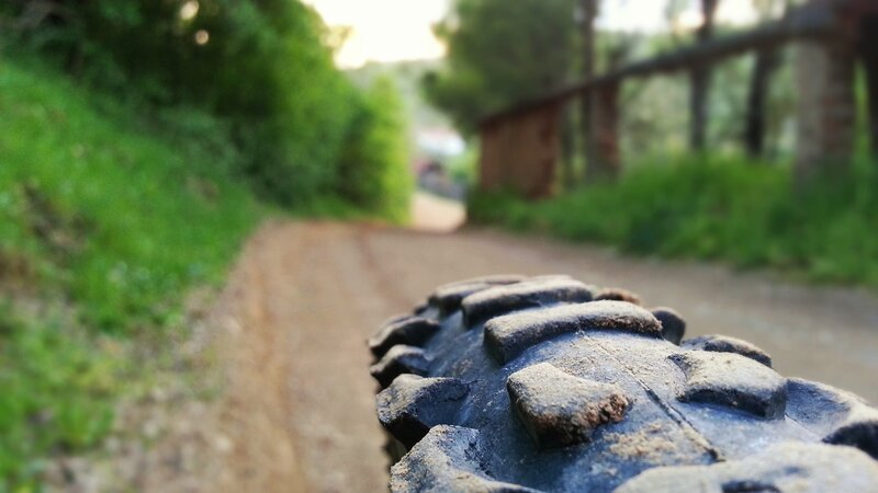 Mountain Bike Tire
