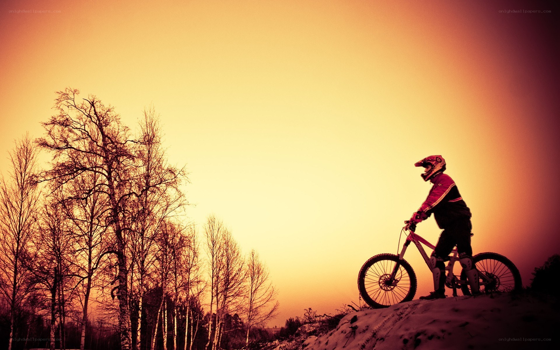 mountain biker at sunset