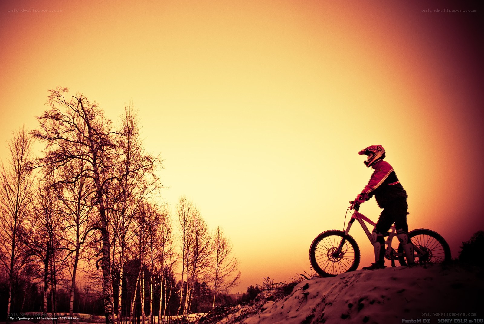 Mountain biker at sunset
