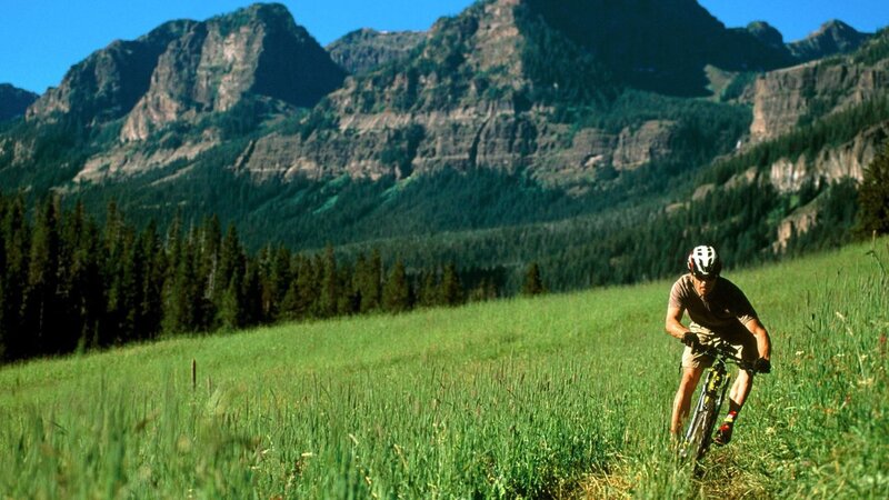 Mountain biker in a grassy field