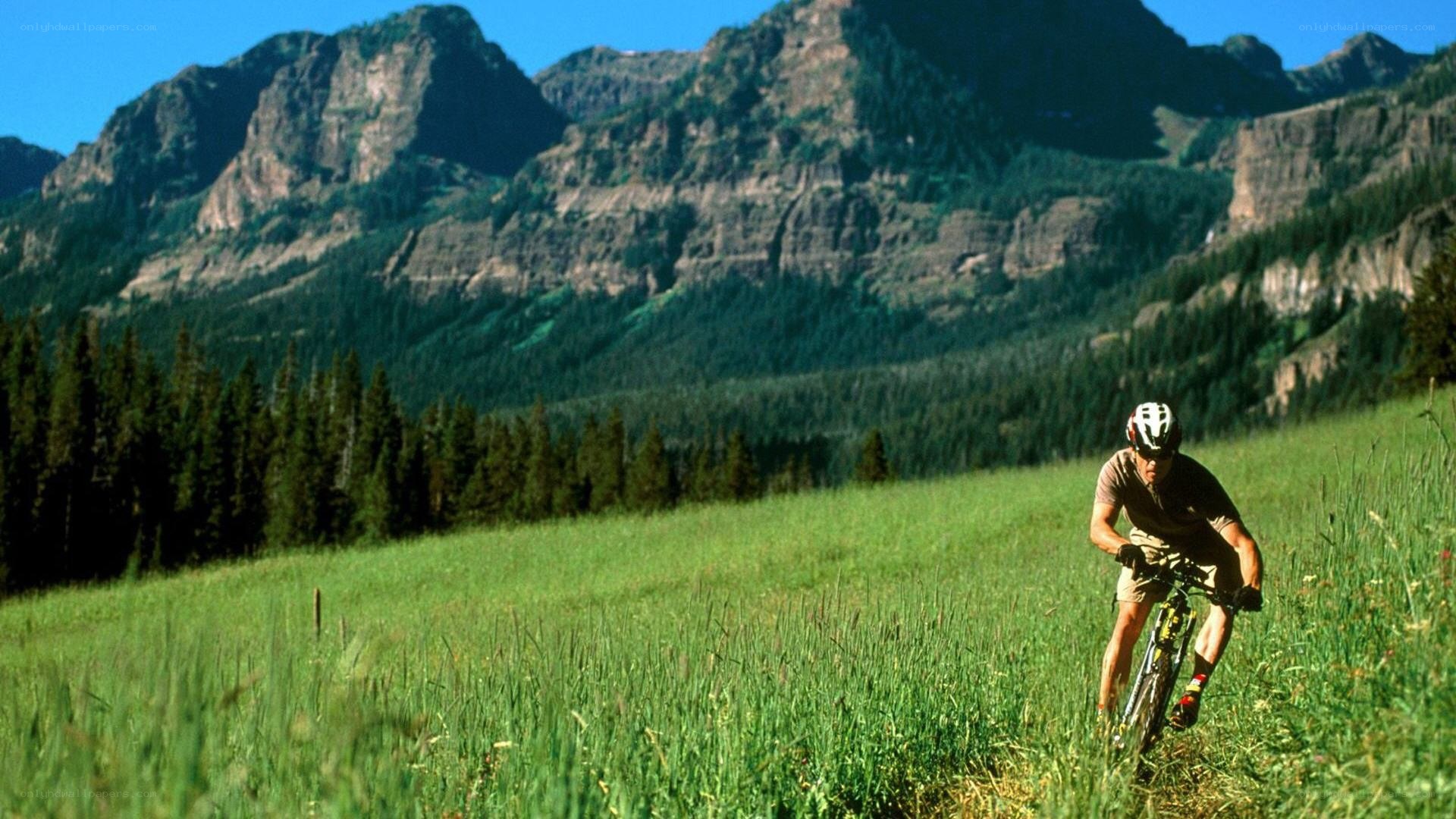 Mountain biker in a grassy field