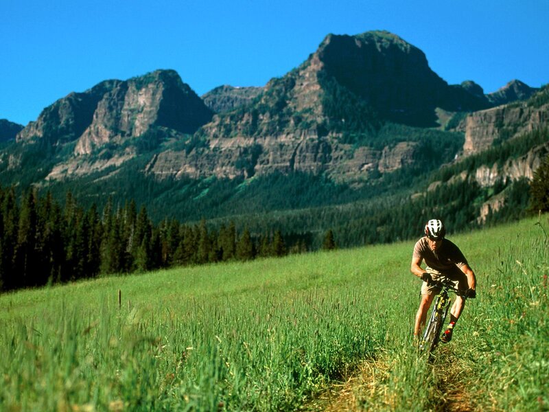 Mountain biker in a green field