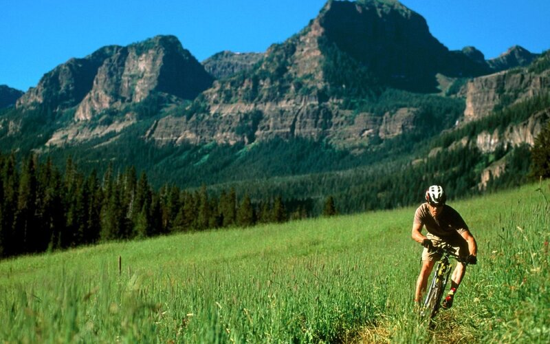 Mountain biker in a meadow