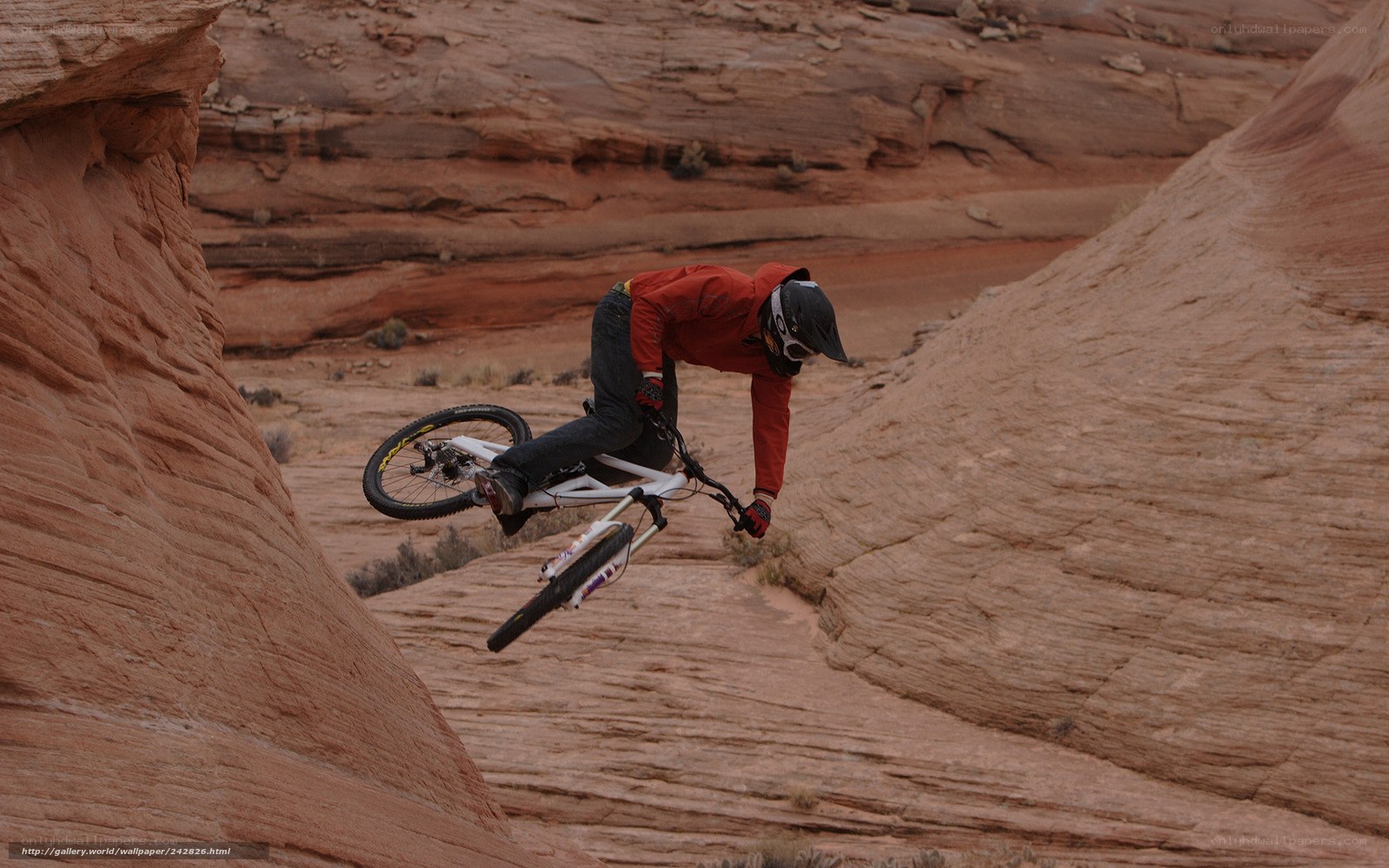 Mountain biker in canyon