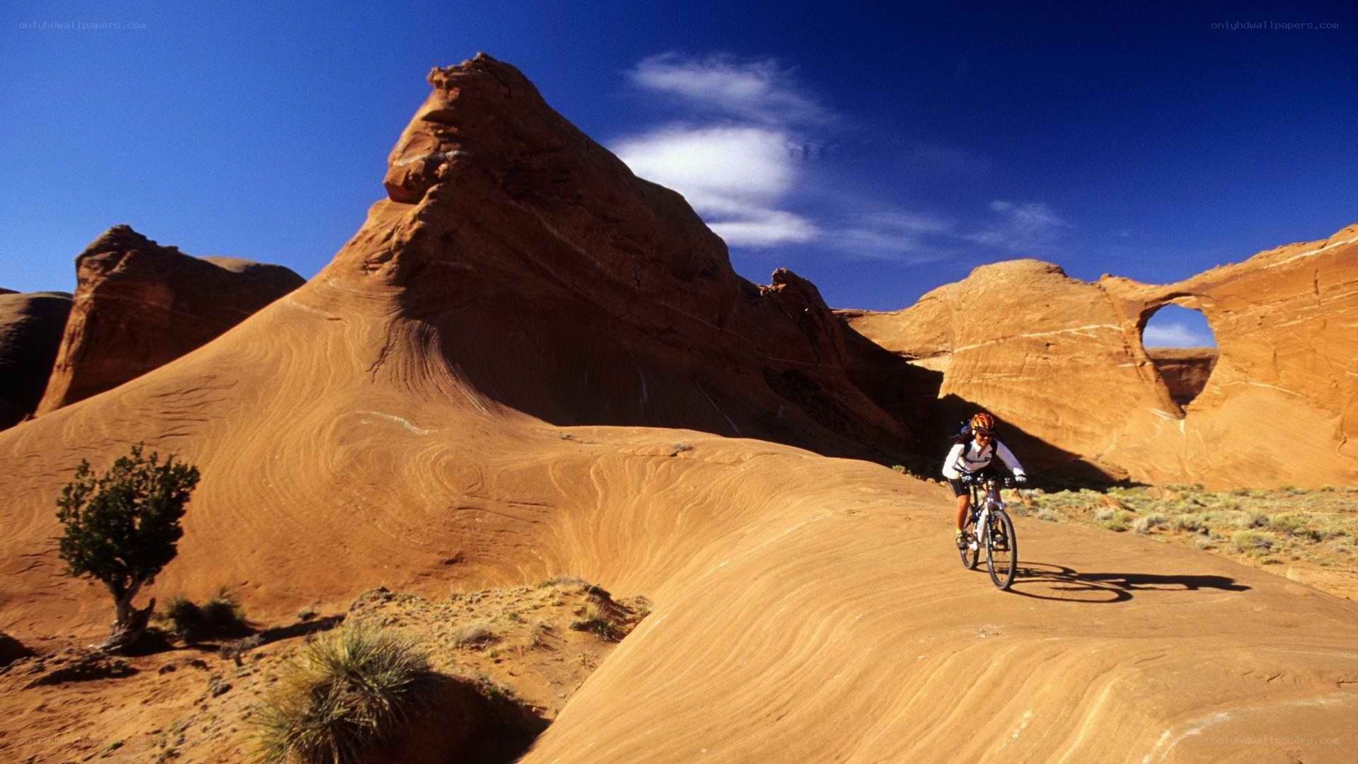 Mountain biker in desert canyon