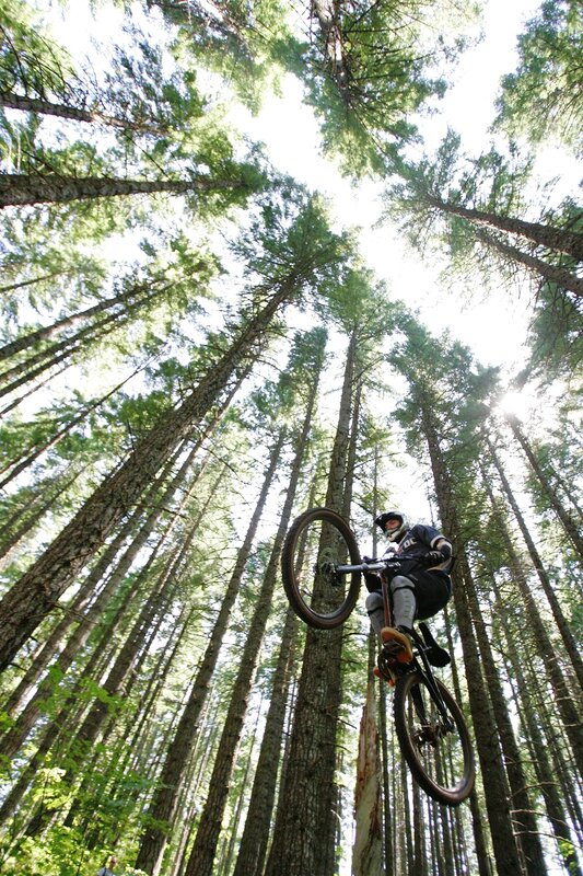 Mountain biker in forest
