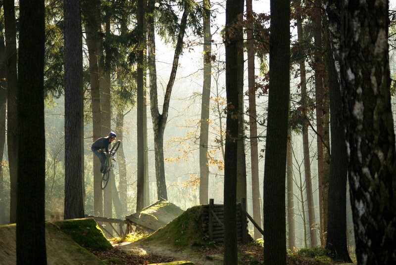 Mountain biker in forest