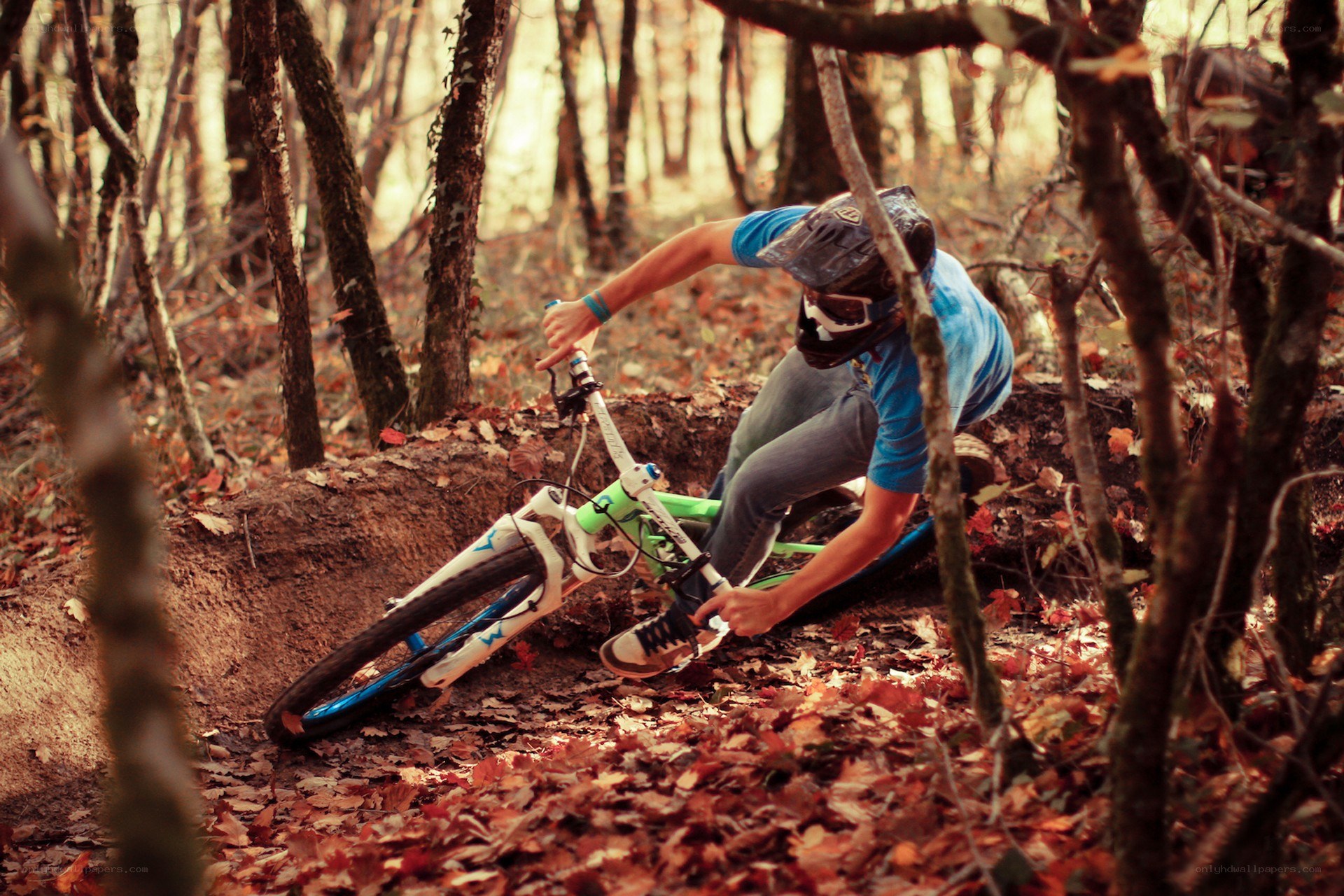 Mountain biker in forest